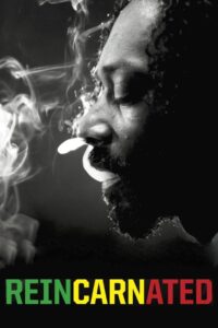 Reincarnated Online En Netflix