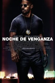 Noche De Venganza Online En Netflix
