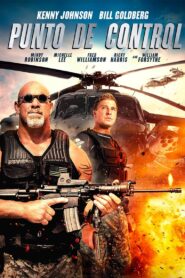 Punto de control Online En Netflix