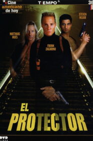 The Protector Online En Netflix