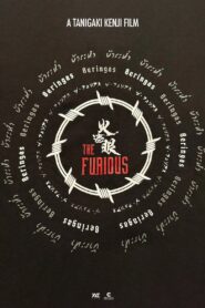 The Furious Online En Netflix