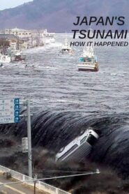 Japan’s Tsunami: How It Happened Online En Netflix