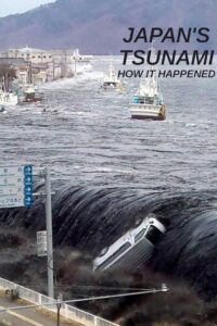 Japan’s Tsunami: How It Happened Online En Netflix