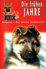 Baby Rex – Der kleine Kommissar Online En Netflix