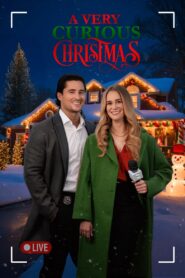 Merry Mystery Christmas Online En Netflix