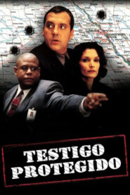 Testigo protegido Online En Netflix