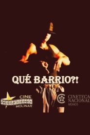 Que barrio?! Online En Netflix