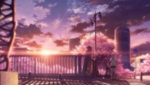 Kuroko’s Basketball: 3×16 {year} Online En Netflix