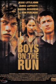 Boys on the Run Online En Netflix