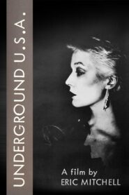 Underground U.S.A. Online En Netflix
