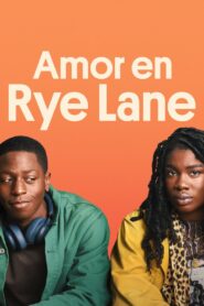Un amor inesperado Online En Netflix