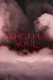 Vengeful Soul Online En Netflix