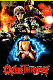 Colpo di stato Online En Netflix