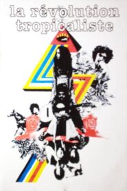 Brésil: La Révolution Tropicaliste Online En Netflix