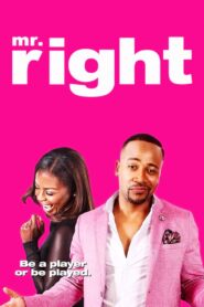 Mr. Right Online En Netflix