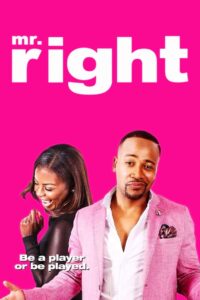 Mr. Right Online En Netflix