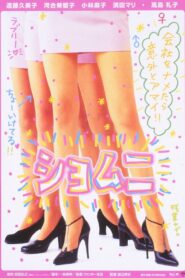 ショムニ Online En Netflix