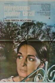 Mireasma ploilor târzii Online En Netflix