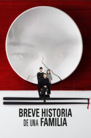 家庭简史 Online En Netflix