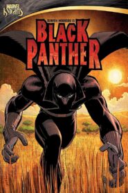 Black Panther Online En Netflix