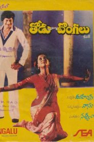 Todu Dongalu Online En Netflix