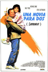 Surrender Online En Netflix