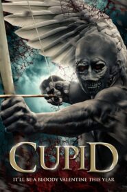 Cupid Online En Netflix