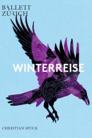 Winterreise Online En Netflix