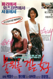 물 위를 걷는 여자 Online En Netflix