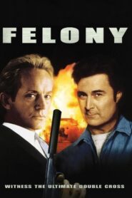 Felony Online En Netflix