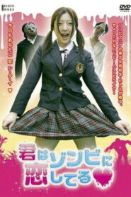 君はゾンビに恋してる Online En Netflix