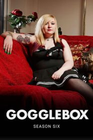 Gogglebox: Temporada 6 {year} En Netflix