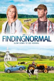 Finding Normal Online En Netflix
