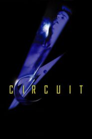 Circuit Online En Netflix