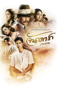 จันดารา ปฐมบท Online En Netflix