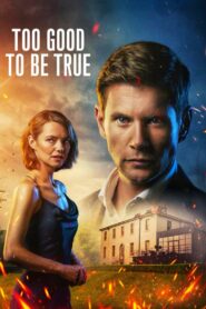Too Good to Be True 2024 En Netflix