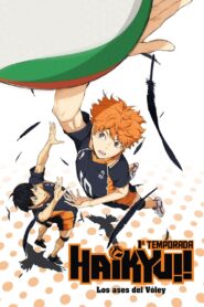 Haikyu!!: Temporada 1 {year} En Netflix