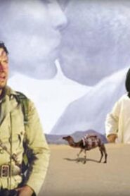 Jewel of the Sahara Online En Netflix