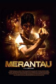 Merantau Online En Netflix