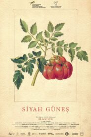 Siyah Güneş Online En Netflix