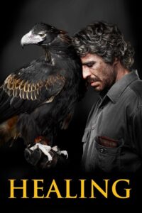 Healing Online En Netflix