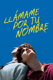 Llámame por tu nombre Online En Netflix
