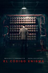 El código enigma Online En Netflix