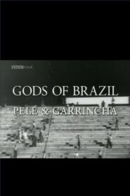 Pelé, Garrincha, dieux du Brésil Online En Netflix