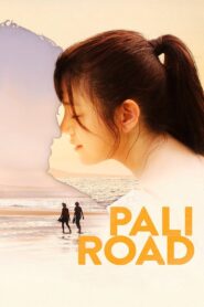 Pali Road Online En Netflix