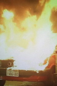 おとり捜査官・北見志穂Ⅱ Online En Netflix