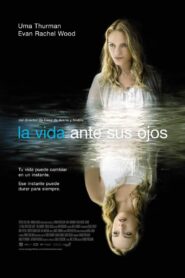 The Life Before Her Eyes Online En Netflix