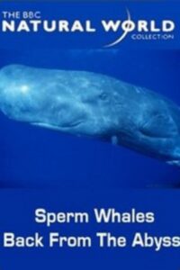 Sperm Whales: Back from the Abyss Online En Netflix