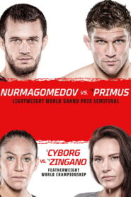Bellator 300: Nurmagomedov vs. Primus Online En Netflix