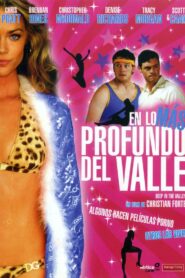 Deep in the Valley Online En Netflix